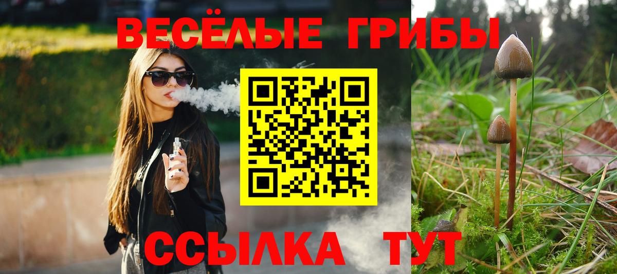 Галлюциногенные грибы прущие грибы Тайшет